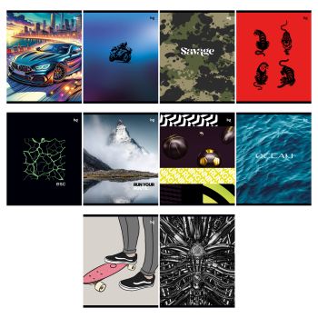 Тетрадь 96л., А5, клетка BG 