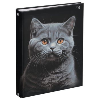 Тетрадь на кольцах А5, 160л., BG 