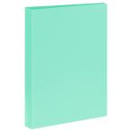 Папка на 2 кольцах СТАММ А4, 25мм, 500мкм, пластик, пастель, мятная