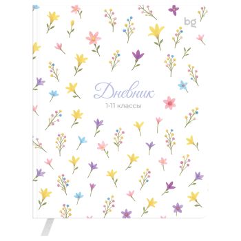 Дневник 1-11 кл. 48л. (твердый) BG 