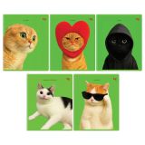 Тетрадь 48л., А5, клетка BG "Во как!", выб. лак