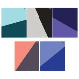 Тетрадь 48л., А5, линия BG "Умеренный"