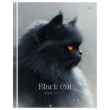 Дневник 5-11 кл. 48л. (твердый) BG "Black cat", матовая ламинация
