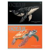 Альбом для рисования 32л., А4, на скрепке BG "Океан"