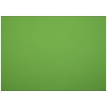 Картон плакатный 48*68см, Мульти-Пульти, 10л., мелованный в пакете, зеленый, 380г/м2