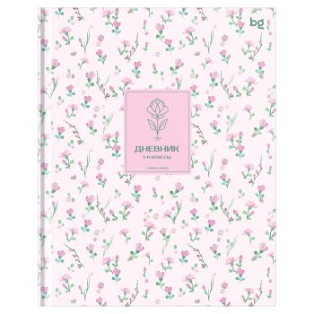 Дневник 1-11 кл. 48л. (твердый) BG 