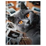 Дневник 5-11 кл. 48л. (твердый) BG "Барсик", глянцевая ламинация