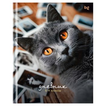 Дневник 5-11 кл. 48л. (твердый) BG 