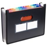 Лоток-органайзер для хранения документов СТАММ А4, 25 отделения,  черный