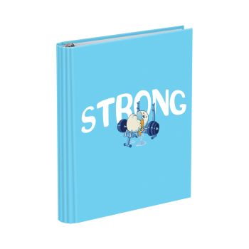 Тетрадь на кольцах А5, 160л., BG 