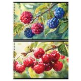 Альбом для рисования 32л., А4, на гребне BG "Ягодный"