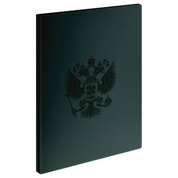 Папка на 2 кольцах СТАММ 