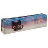 Пенал мягкий 200*55*40 MESHU "Surprised Cat", искусственная кожа