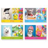 Альбом для рисования 24л., А4, на гребне BG "Multicolor"